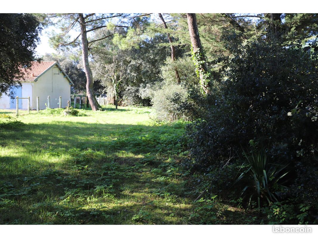 Terrain 990 m² · à Saint-Georges-d'Oléron · 225 750 €