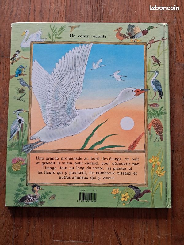 Le vilain petit canard au bord de l'eau (image 2)