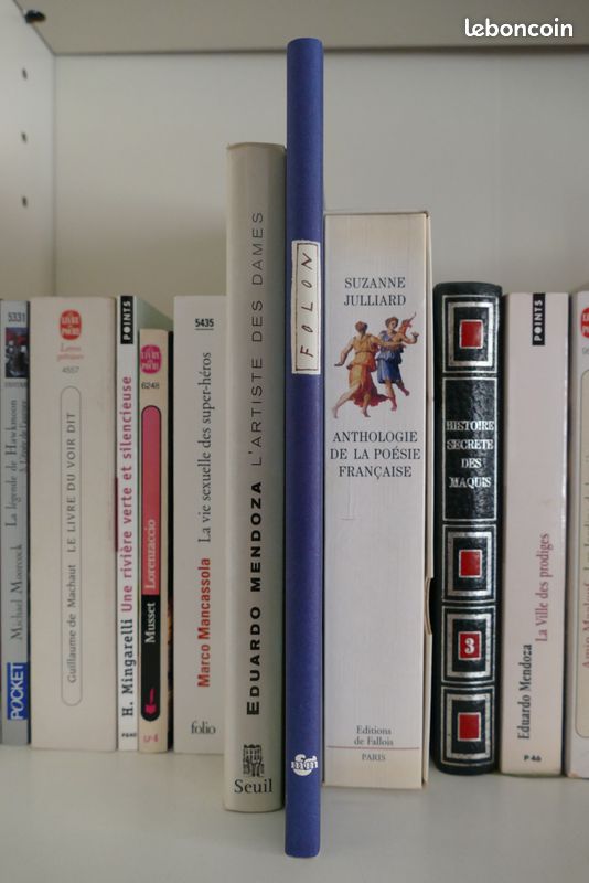 Livre "Pietrasanta" - Jean-Michel FOLON (image 2)