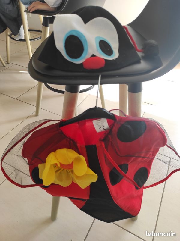 Déguisement coccinelle (image 1)