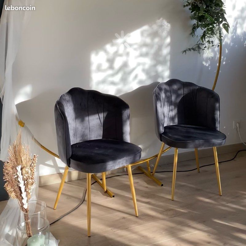 Lot de 2 chaises (image 1)