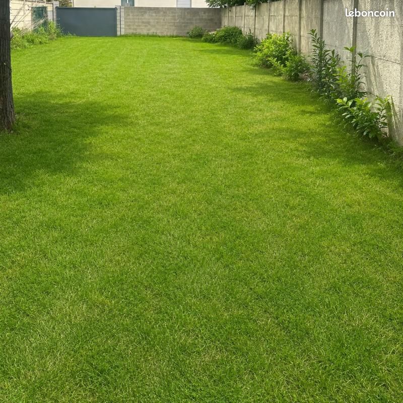 Terrain 244 m² Reims · 114 396 €