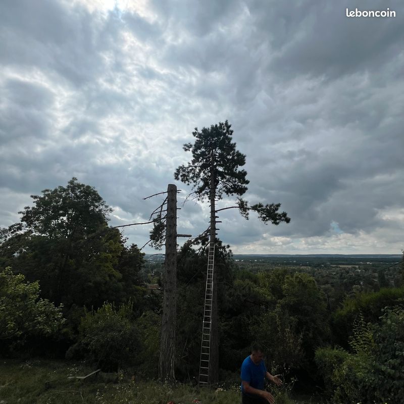 U24 Drapeau De Bateau à Bras Nu De Qualité Supérieure 20 X 30 Cm