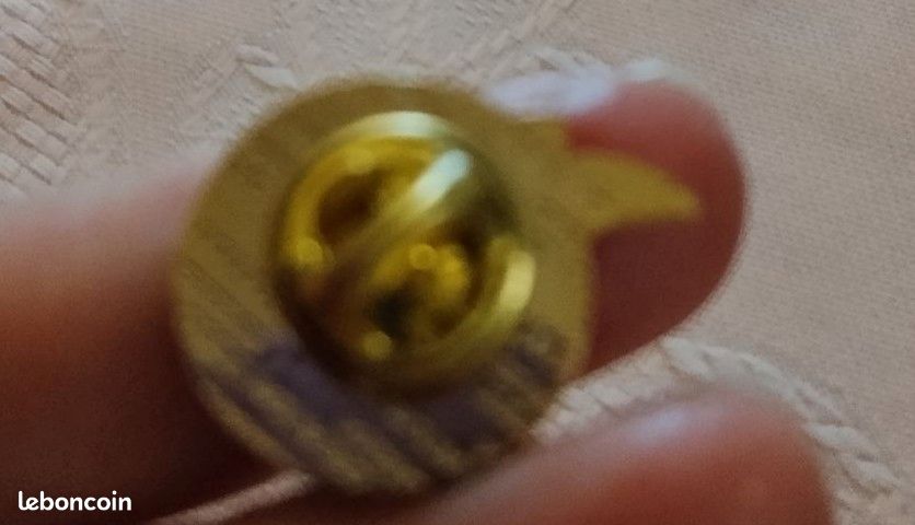 Pins (image 2)