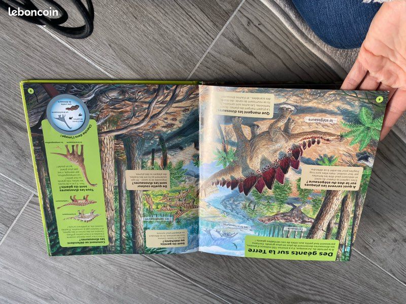 Livre dinosaure (image 10)