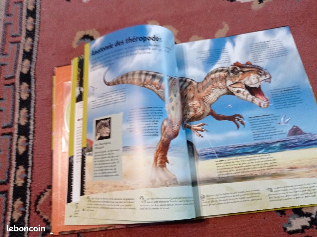 Livre"les dinosaures attaquent" (image 2)