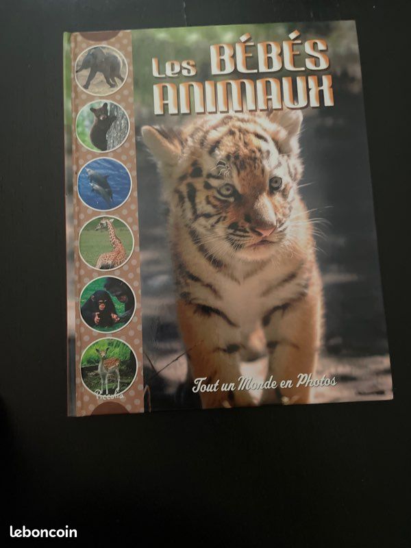 Les bébés animaux (image 2)
