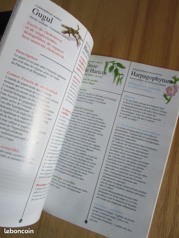 Lot de 2 Livres : la Santé par les Plantes + Super Régénération, Aliments Miracles (image 11)