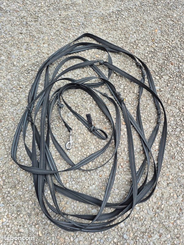 Longe 13m pour chien (image 1)