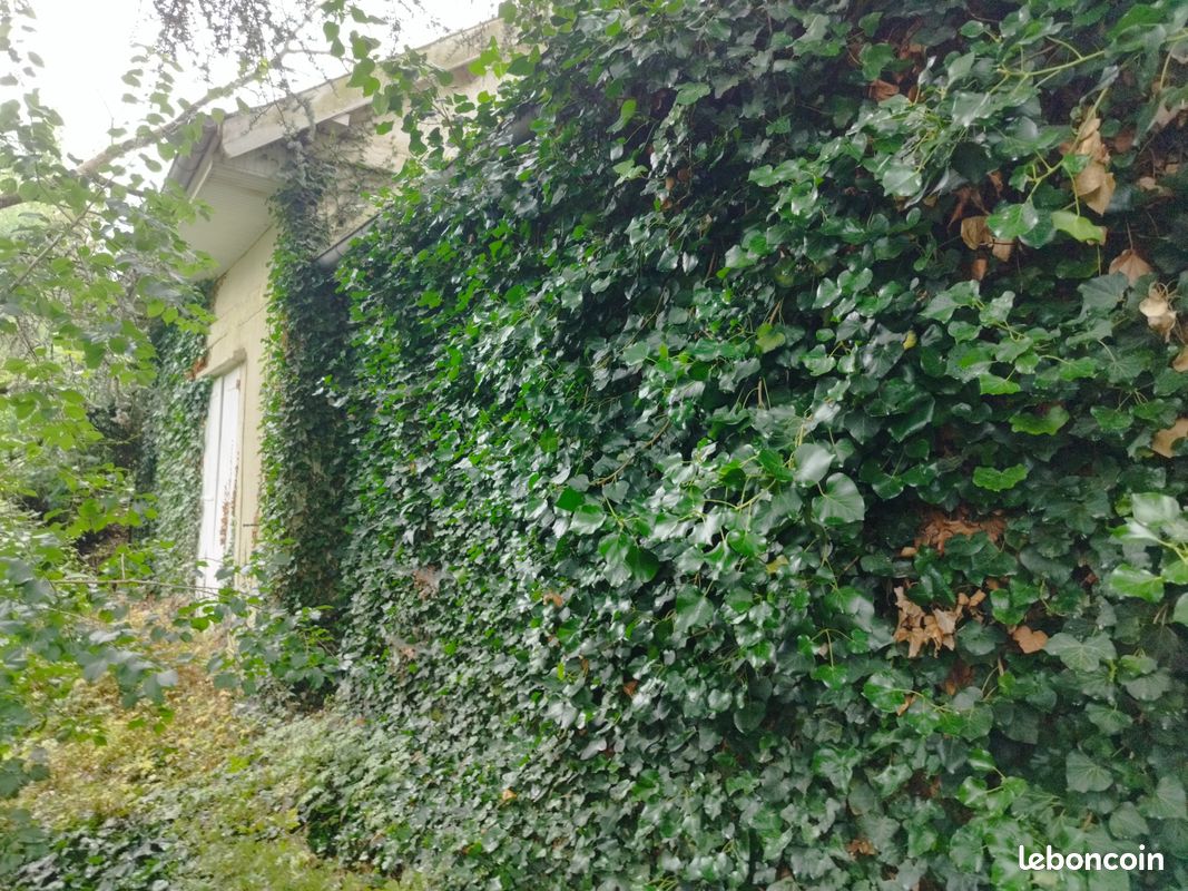 Maison 5 pièces 140 m² · à Saumur · 140 m² · 160 000 €