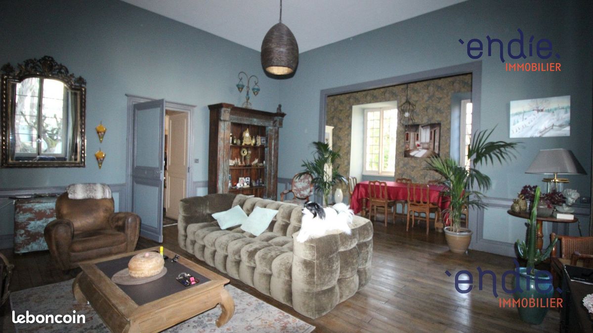 Maison 12 pièces 390 m² · à Mehun-sur-Yèvre · 390 m² · 498 000 €