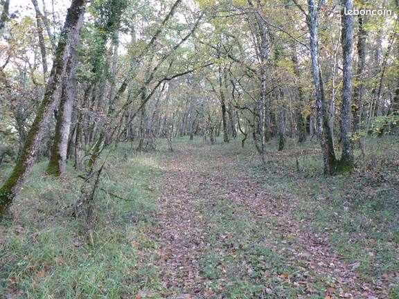 Forêt de chênes · à Beauville · 21 000 €