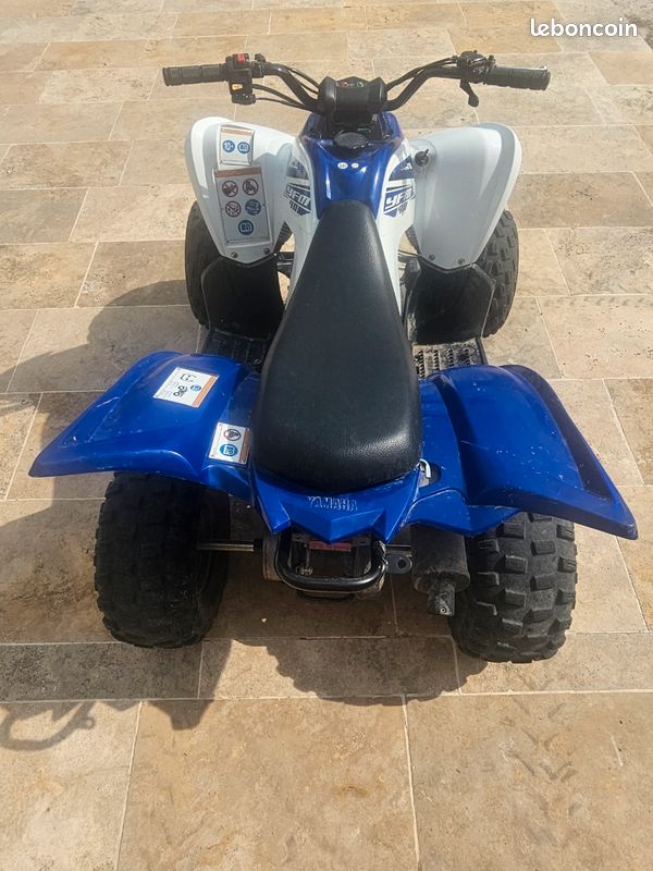 Quad 90 raptor (image 3)
