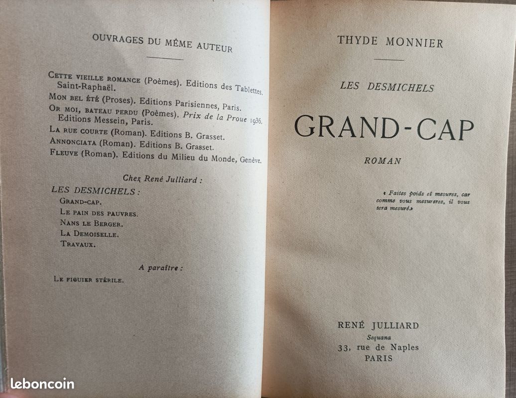 Grand Cap (Les Desmichels Tome 1) - Thyde Monnier (image 2)