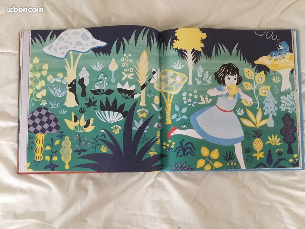 Livre grand format (image 3)