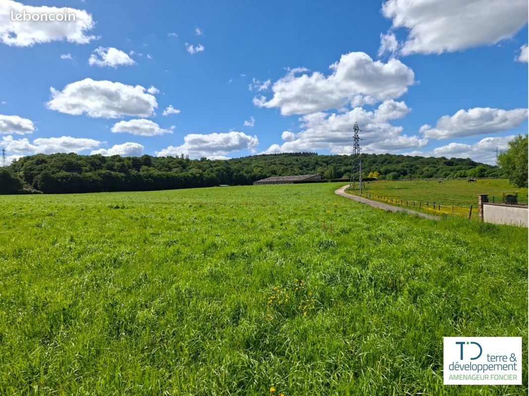 Terrain de 414 m² à BAVILLIERS (TERRITOIRE-DE-BELFORT) · 53 820 €