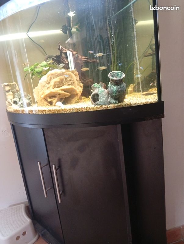 Aquarium (image 2)