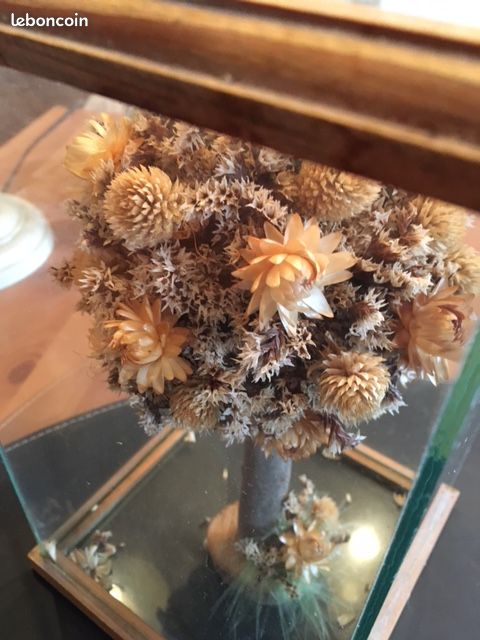 Décoration arbre sous verre (image 4)
