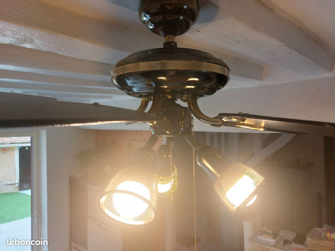 Plafonnier ventilateur (image 1)