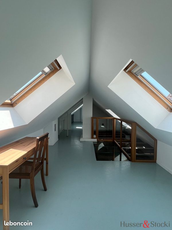 Appartement 1 pièce 101 m² · à Strasbourg · 101 m² · 800 €/mois