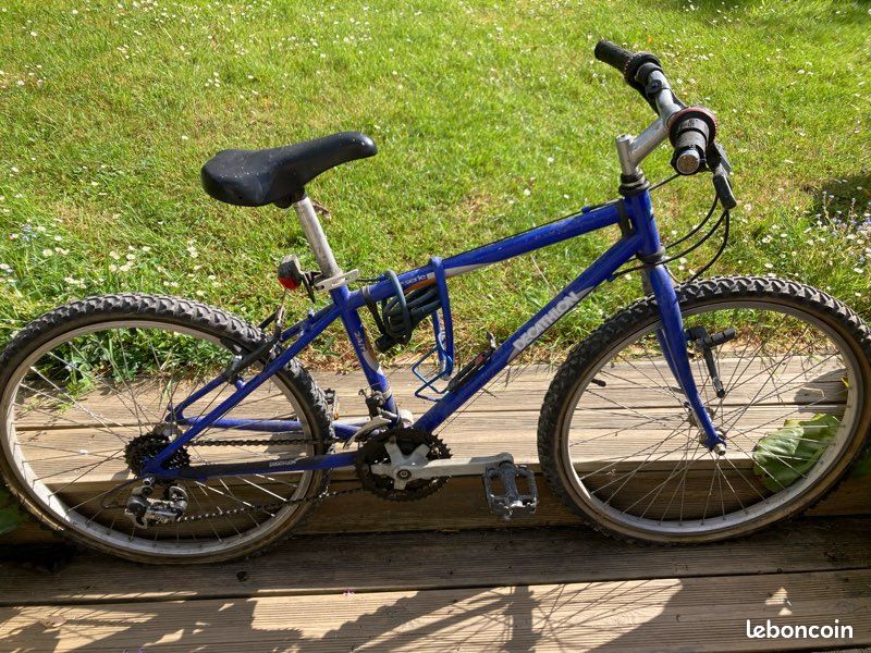 Vélo adolescent (image 1)