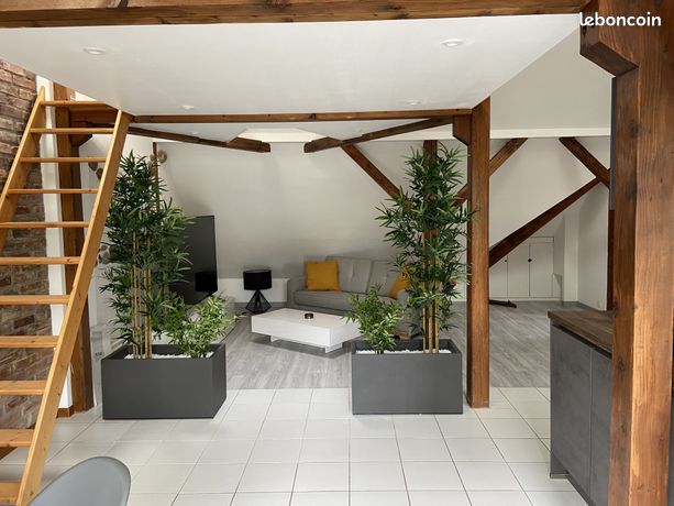 Duplex 2 pièces 56 m²