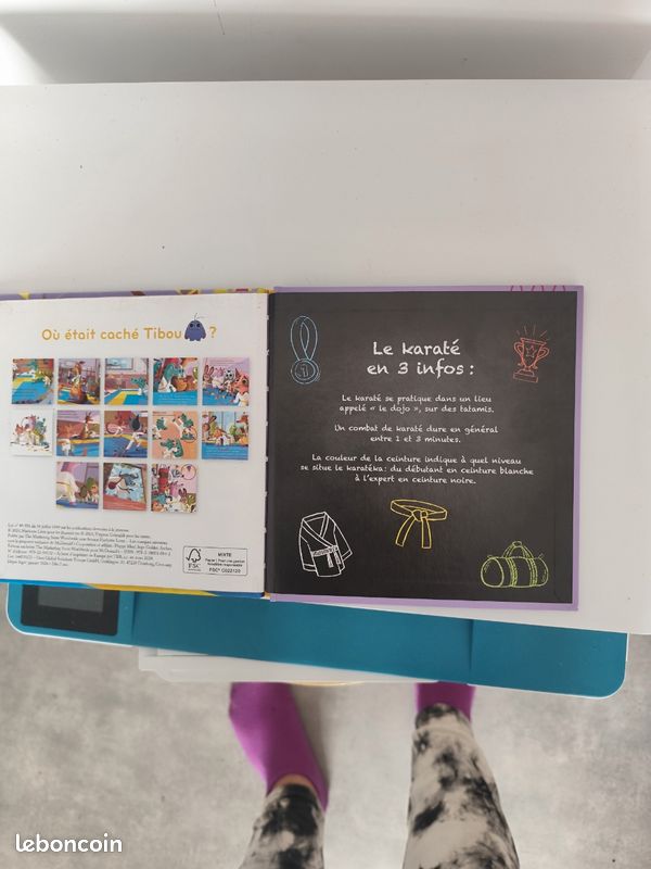 Livre pour enfant le tournoi de karaté (image 4)
