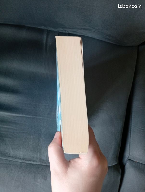 Livre la collectionneuse d'histoires d'Evie Gaughan (image 5)