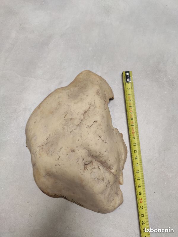 Cachette en résine EXOTERRA 20 cm (image 3)