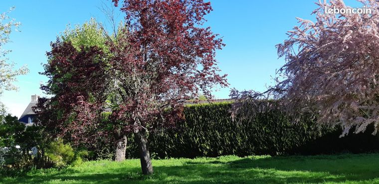 Terrain 1 600 m² Guichen