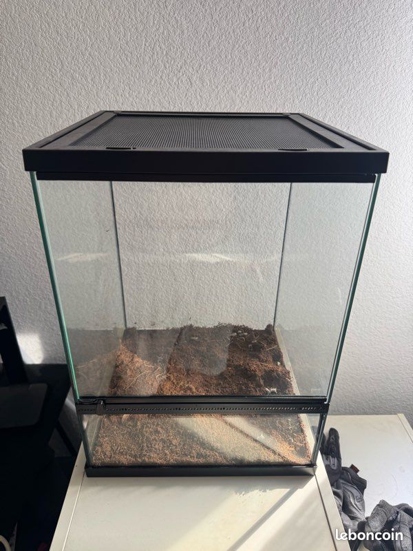 Terrarium (image 1)