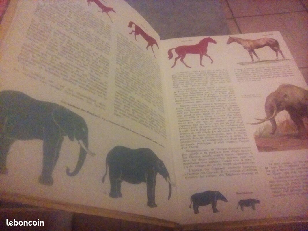 Les merveilles de la nature (image 3)