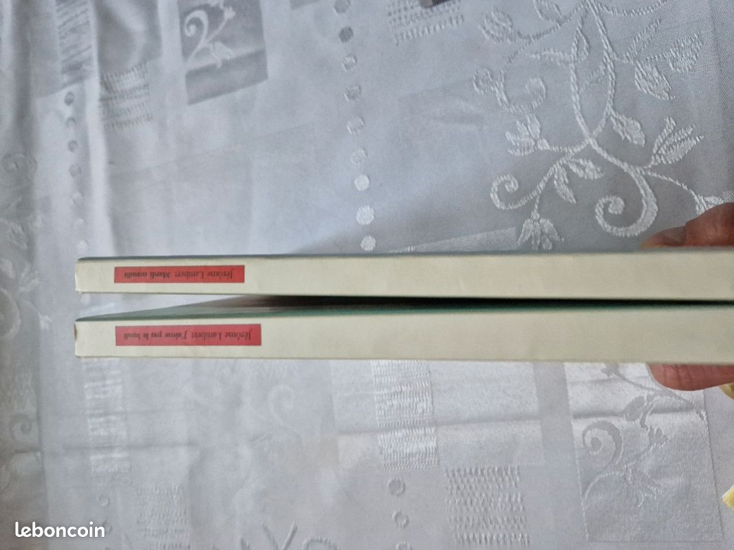 Jerome Lambert Lot Mardi Maudit J aime pas Lundi neuf ideal cadeau (image 3)
