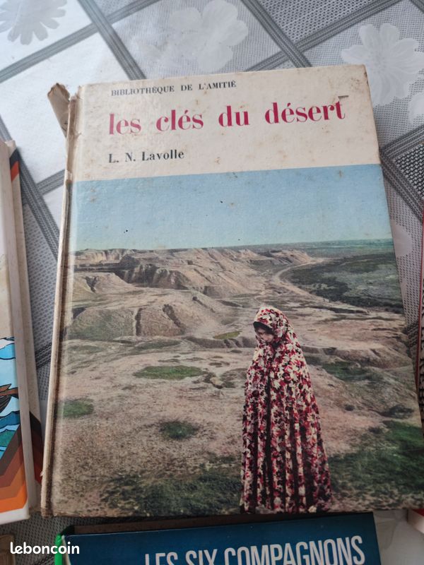 Lot de livres (11) enfants et adolescents (image 4)