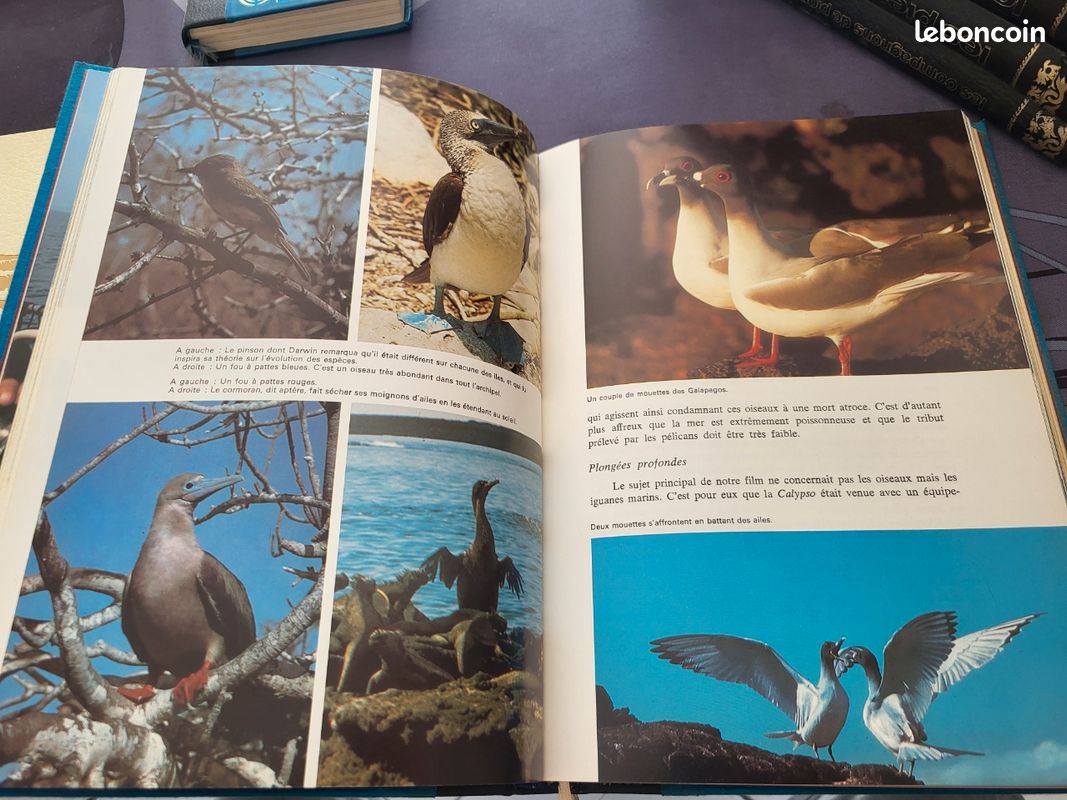 Collection Cousteau 8 volumes (image 3)