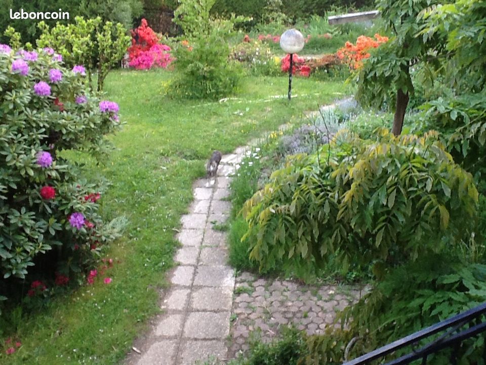 Chambre d'hôtes à la campagne (image 2)