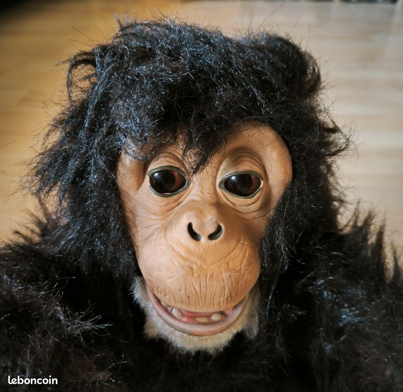 Peluche Singe Chimpanzé Noir 24 Cm - Marque Onwomania - Neuf Pour Enfants Et Collection
