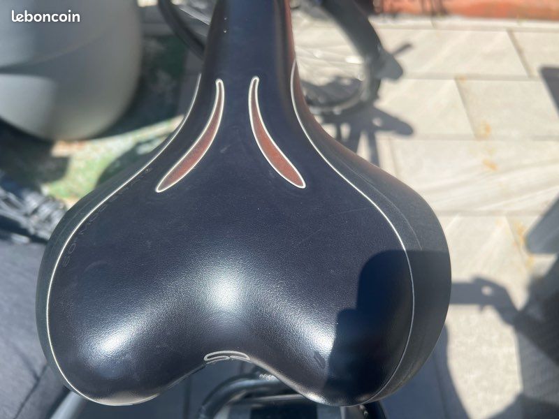 Vélo électrique Flyer Bosch – fonctionne parfaitement sauf batterie à remplacer (image 3)