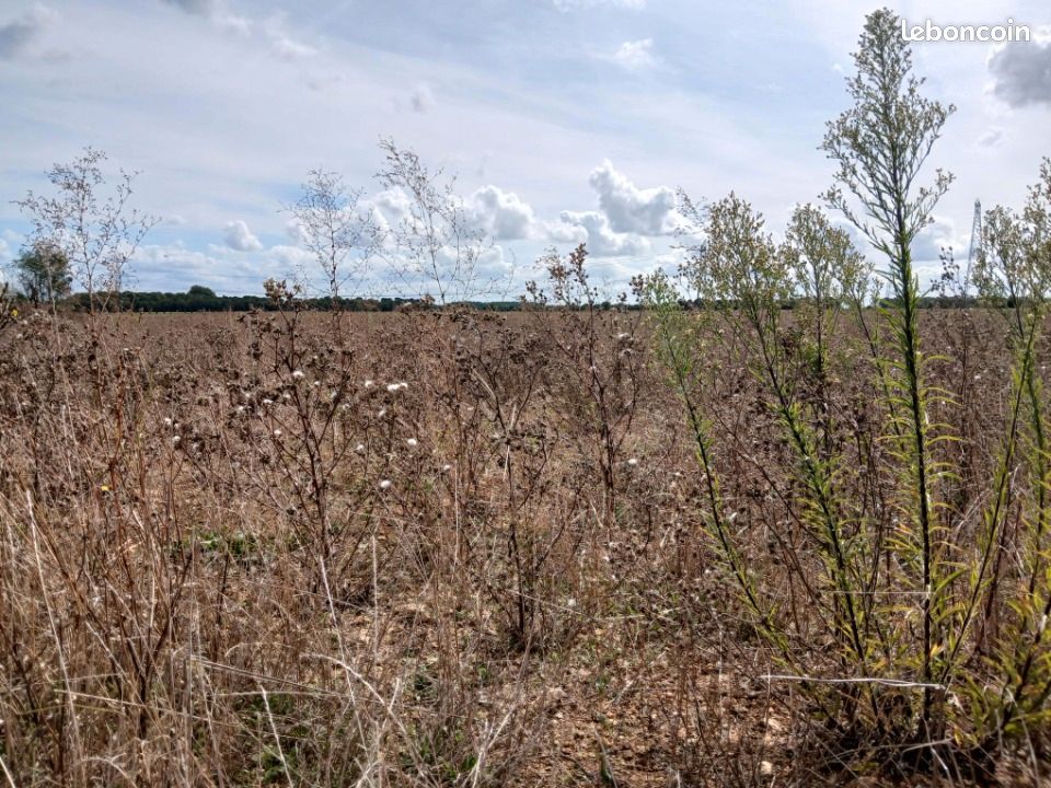 Terrain 385 m² · à Frénouville · 79 900 €