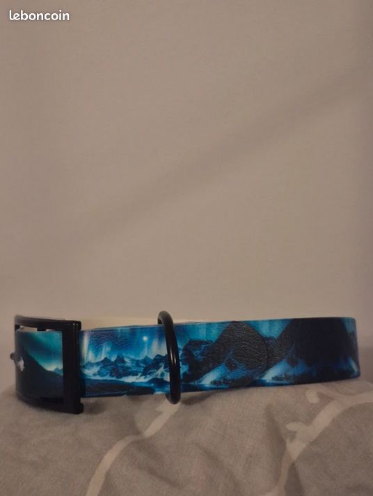 Collier de chien en biothane (image 3)