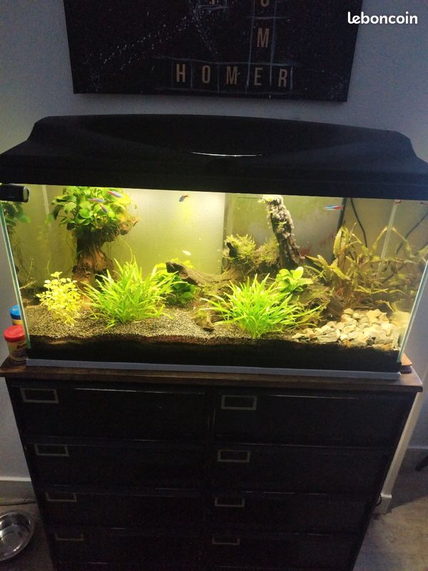Aquarium 80 l (image 1)
