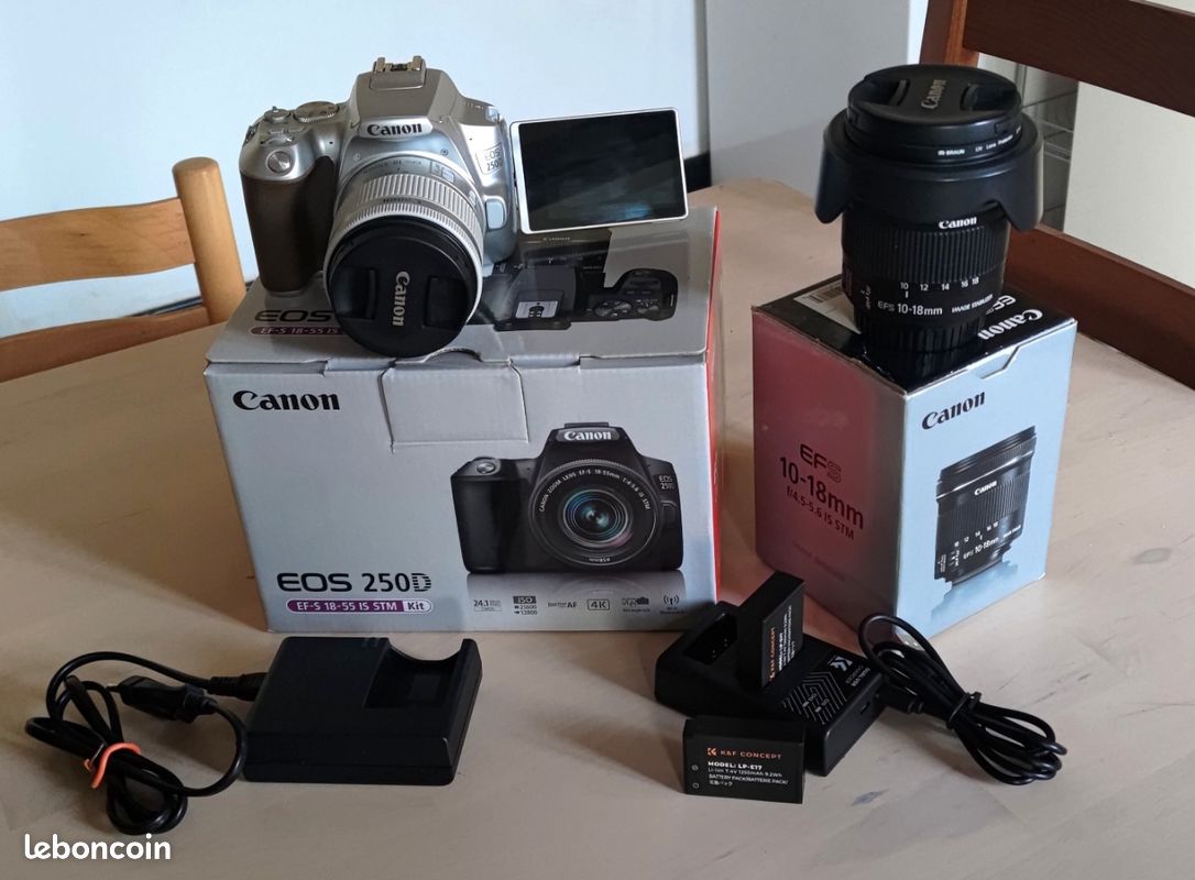 Test Canon EOS 250D : explorez la polyvalence avec double objectif