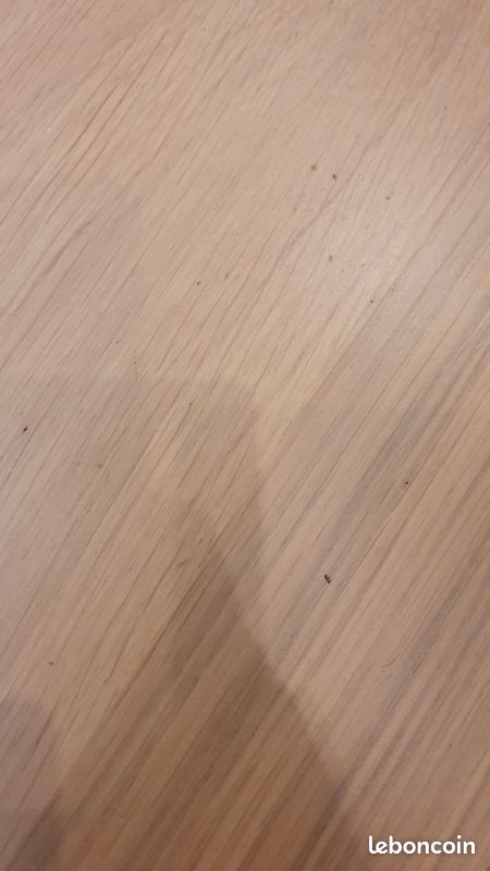Table Ikea EKELADEN extensible 180/240 cm (image 5)