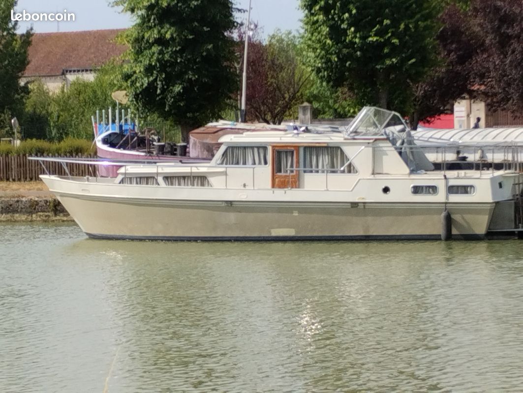 Vedette hollandaise (image 9)