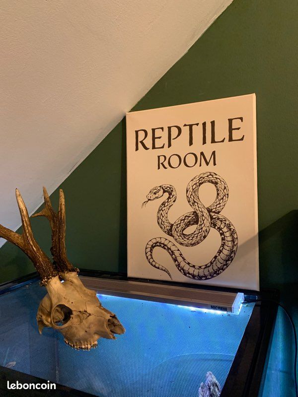 Panneau affiche Reptile Room (image 2)
