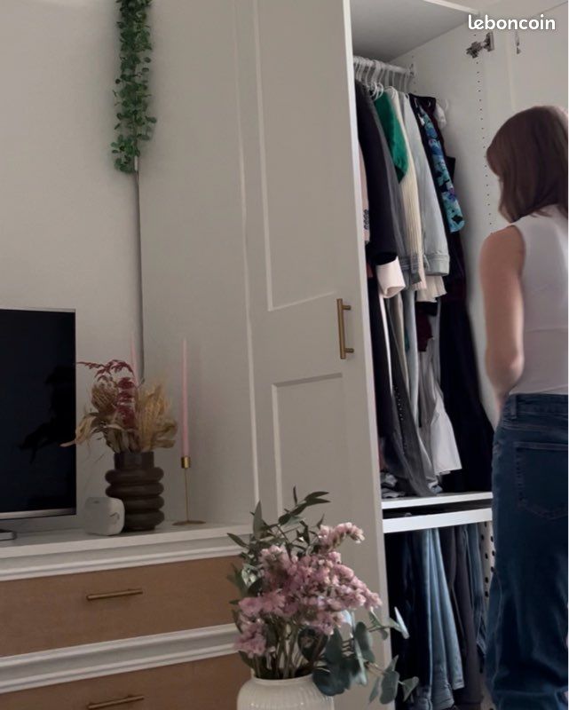 Dressing Ikea Pax (image 12)