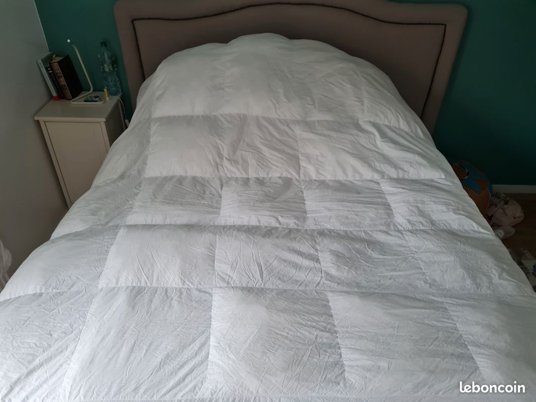 Couette dodo haut luxe toucher duvet 240*260 (image 2)