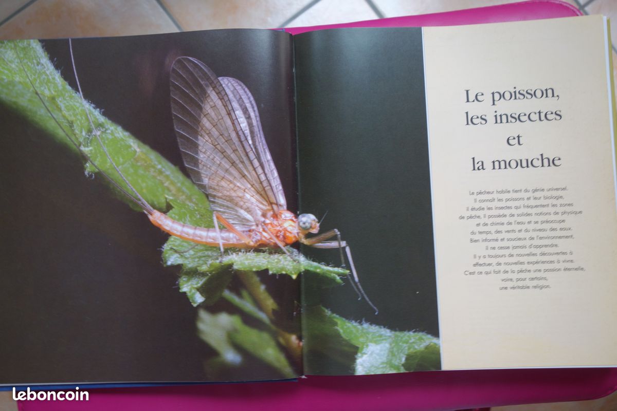 Rare G Cederberg La Pêche a La Mouche Atbe a 40€ Ach Imm Fp Comp Mond