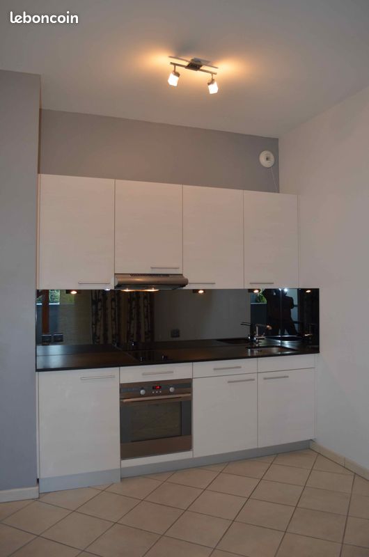 Appartement 1 pièce 41 m² · à Lyon · 41,1 m² · 850 €/mois