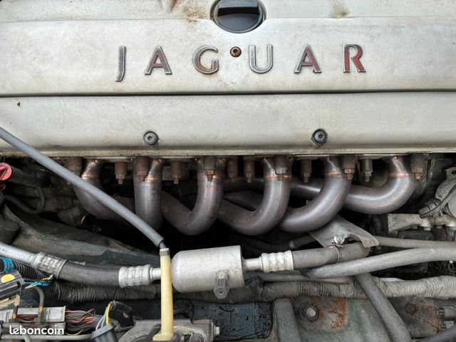 Jaguar XJR 4.0, 326 ch. Full Carnet - Collecteur Inox (image 7)